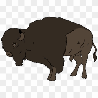 Buffalo, Bright Images - Bison Clipart