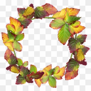 Wreath, Leaves, Autumn, Fall, Nature, Garden, Frame - Corona De Hojas Otoño Png Clipart