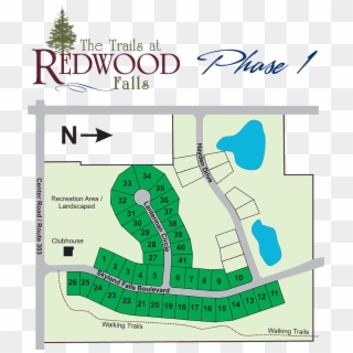 Redwood Phase I Horizontal Rev - Flower Shop Clipart