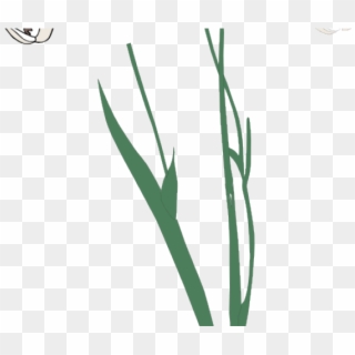 Related Posts - Grass Clipart