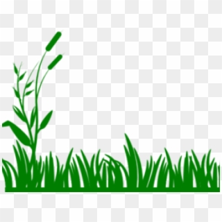 Lawn Clipart Banner - Grass Border Clipart - Png Download