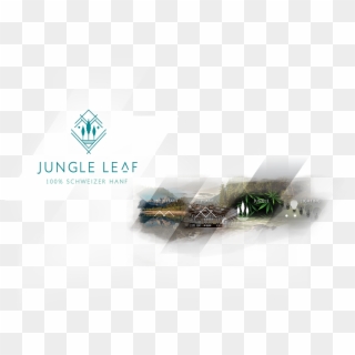 Jungle Leaf - Graphic Design Clipart