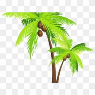 Palm Tree Png Transparent Images - Sea And Coconut Tree Vector Clipart