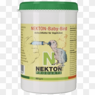 Nekton Baby Bird - Nekton Clipart