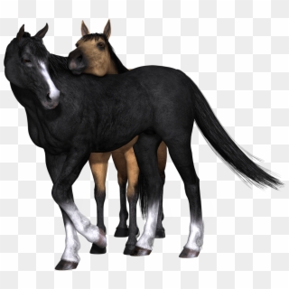 Horses Black Horse Looking Back - Breyer Horse Strapless Hunter Clipart