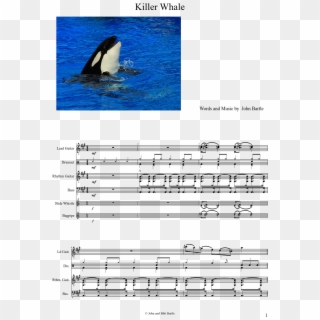 Killer Whale Sheet Music Composed By Words And Music - Killer Whale Clipart