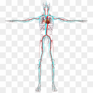 Subscribe Alpha Tauri - Circulatory System No Background Clipart
