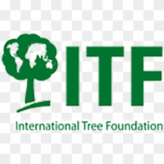 Are You Interested In Partnering With Us We'd Love - International Tree Foundation Clipart