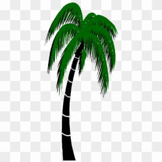 Graphics For Palm Trees Animated Graphics - Palm Tree 3d Gif Clipart
