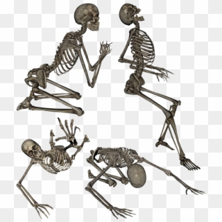 Skeleton Human Anatomy Kneeling Praying Crawling - Skelett Kneeling Pose Png Clipart