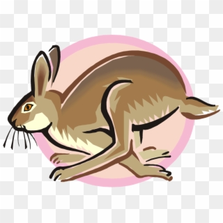 Free Rabbit Clipart Png - Cartoon Hopping Rabbit Transparent Png