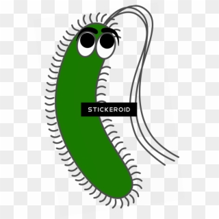 Bacteria Png Sad - Cilia And Flagella Cartoon Clipart