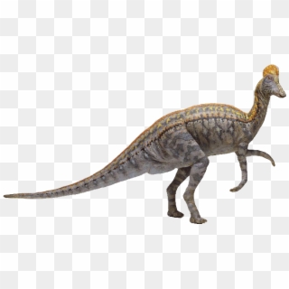 Smaller In Size Plumes Were Young Dinosaurs In The - Velociraptor Clipart