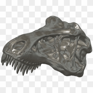 This T-rex Skull By Makerbot Is A Complex Stl Made - Tyrannosaurus Clipart