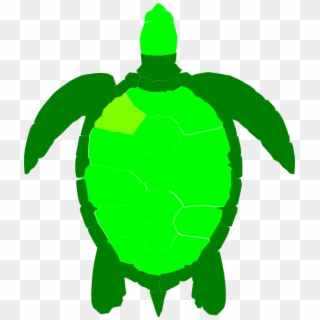 Green Sea Turtle Clipart - Png Download