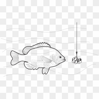 Black And White Fishing Bait Fishing Rods - Pomacentridae Clipart
