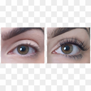 Beauty - 1 Week Castor Oil Eyelash Results Clipart
