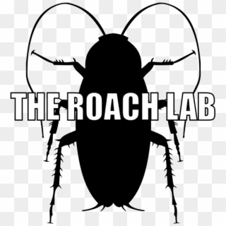 The Roach Lab - Cockroach Silhouette Clipart