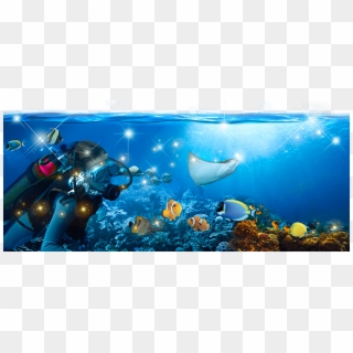Save Our Seas - Tunisia Sea Life Clipart