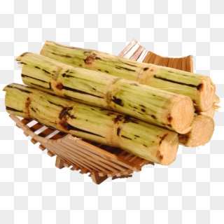 Sugar Cane - Sugarcane Png Clipart