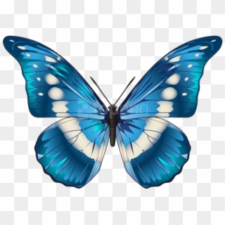 Download Butterfly Blue Clipart Png Photo Toppng - Transparent Background Butterfly Clipart