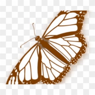 Monarch Butterfly Clipart Png Full Hd - Butterfly Clipart No Background Transparent Png