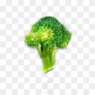 Broccoli Clipart