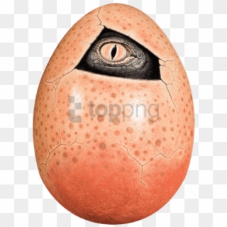 Free Png Dinosaur Egg With Eye Png Image With Transparent - Rock Painting Dinosaur Eggs Clipart