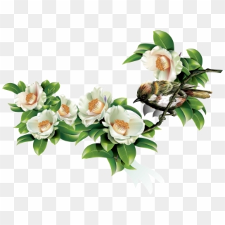 Green Leaves And Birds In Spring - Japanese Camellia Clipart
