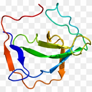 Protein Mia Pdb 1hjd - Melanoma Inhibitory Activity Protein Clipart