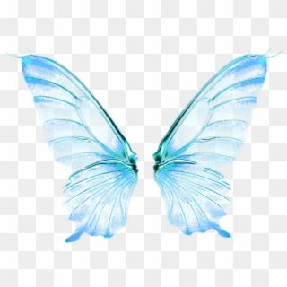 0 14c1 59efcec6 Orig Wings Png Png Tumblr Picsart Blue Fairy Wings Png Clipart Pikpng