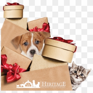 Christmas Bazaar - Tabby Cat Clipart