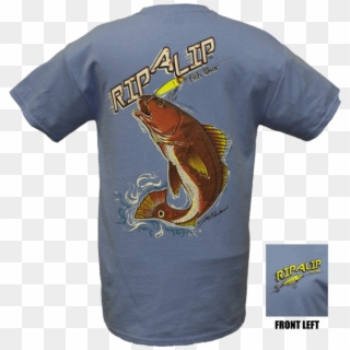 Redfish Shirt - Bass Clipart