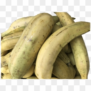 Plátano Maduro - Saba Banana Clipart