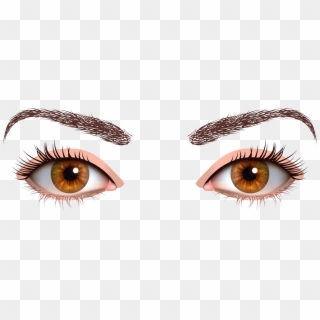 Brown Female Eyes Png Clipart - Female Eyes Png Transparent Png