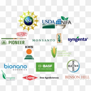 Interested In Becoming A Sponsor Of The Maize Genetics - National Science Foundation Clipart