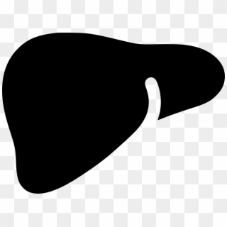 Png File Svg - Hepatology Icon Png Clipart