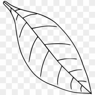 Simple Leaf Drawing - Simple Leaf Clipart Black And White - Png Download