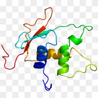 Protein Irf4 Pdb 2dll - Egfp Protein Clipart