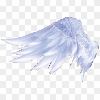 #wigs #asa #anjo - Angel Feather Wing Drawing Clipart