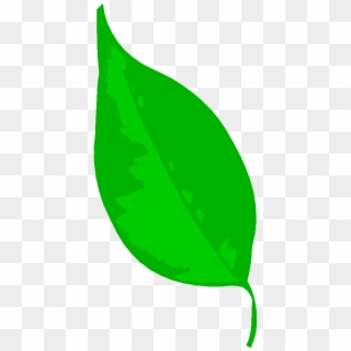 Circle The Leaf With 0 Bugs Clipart