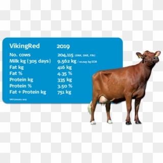 Interbull Evaluations - Dairy Cow Clipart