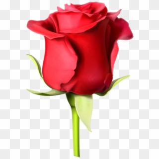 Rosa Roja - 玫瑰 花 圖案 Clipart
