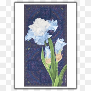 "abiding Faith" Blue Iris Blank Card - Hyacinth Clipart