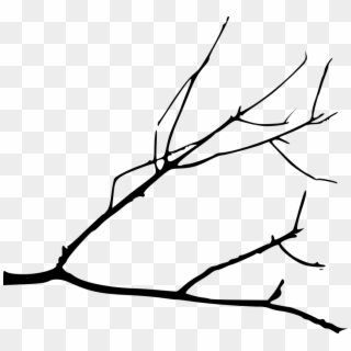 Free Png Simple Tree Branch Png - Simple Tree Branch Drawing Clipart