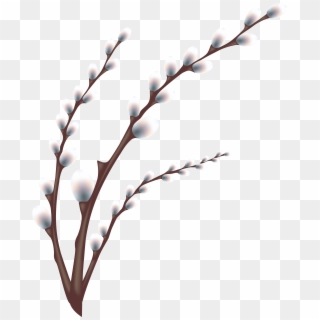 Easter Willow Tree Branch Transparent Png Clip Art - Tree Branch Transparent