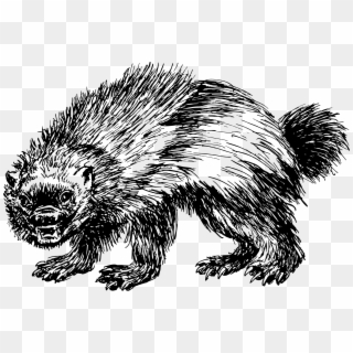 Wolverine Png Clipart