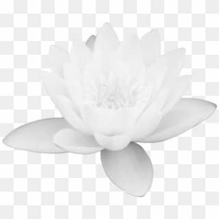 Lotus Flower Png Images Free Download Png Library - Sacred Lotus Clipart