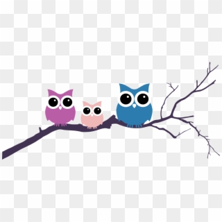 Three Owls Tree Branch - Owl On Tree Clipart - Png Download