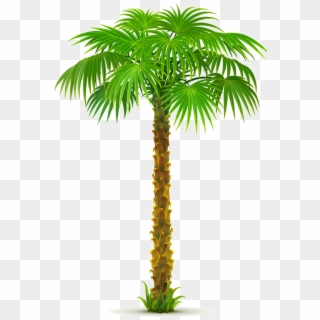 Arbre,png Palm Tree Png, Palm Trees, Palm Tree Pictures, - Sea And Coconut Tree Vector Clipart